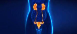 What can urinary tract infections cause in men? Male Urinary Tract Infection: Discover the causes and how to treat it ... Men with recurrent urinary tract infections can also develop scarring of the kidneys, which affects kidney function in the long term.